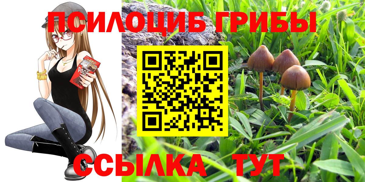 цены наркотик  Вход с VPN  Добрянка  Галлюциногенные грибы Magic Shrooms 